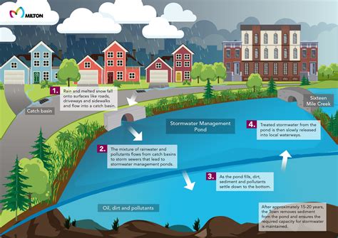 water quality of natural ponds in urban areas